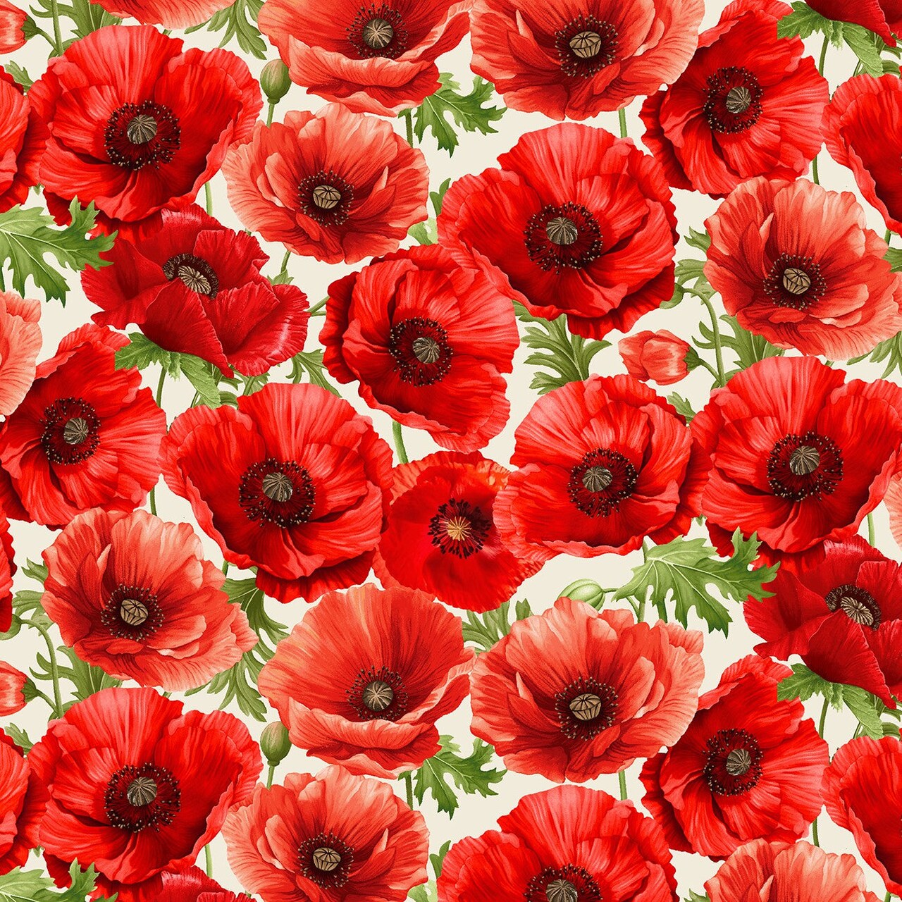 Fabric Timeless Treasures Cream Large Poppy Floral Poppy Passion by the Quarter Yard CD3802-CREAM